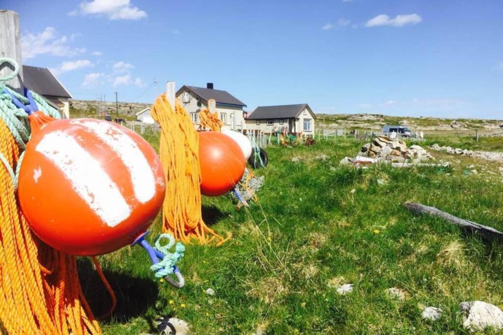 Arctic House By The Sea, Vadso, Varanger Extérieur photo